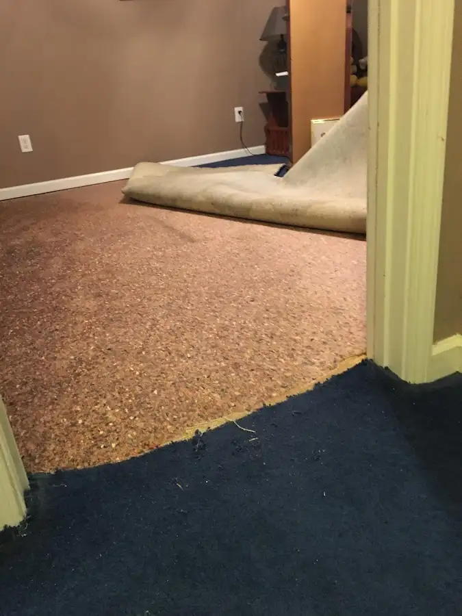 Carpet pad removal revealing water damage during Water Mitigation Services in Grosse Pointe Woods