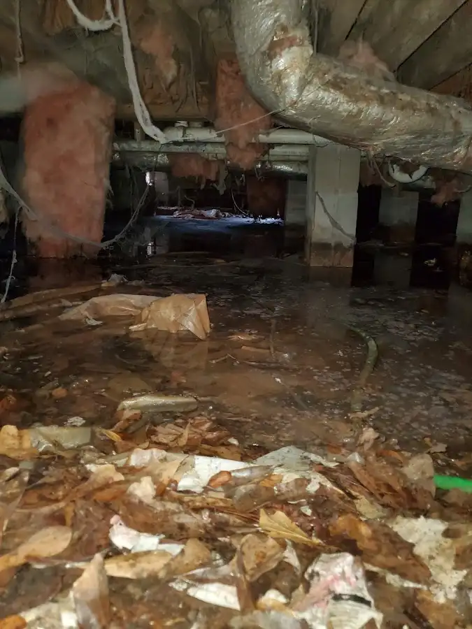 Crawl space flood assessment for Commercial Water Damage Restoration in Grosse Pointe Woods