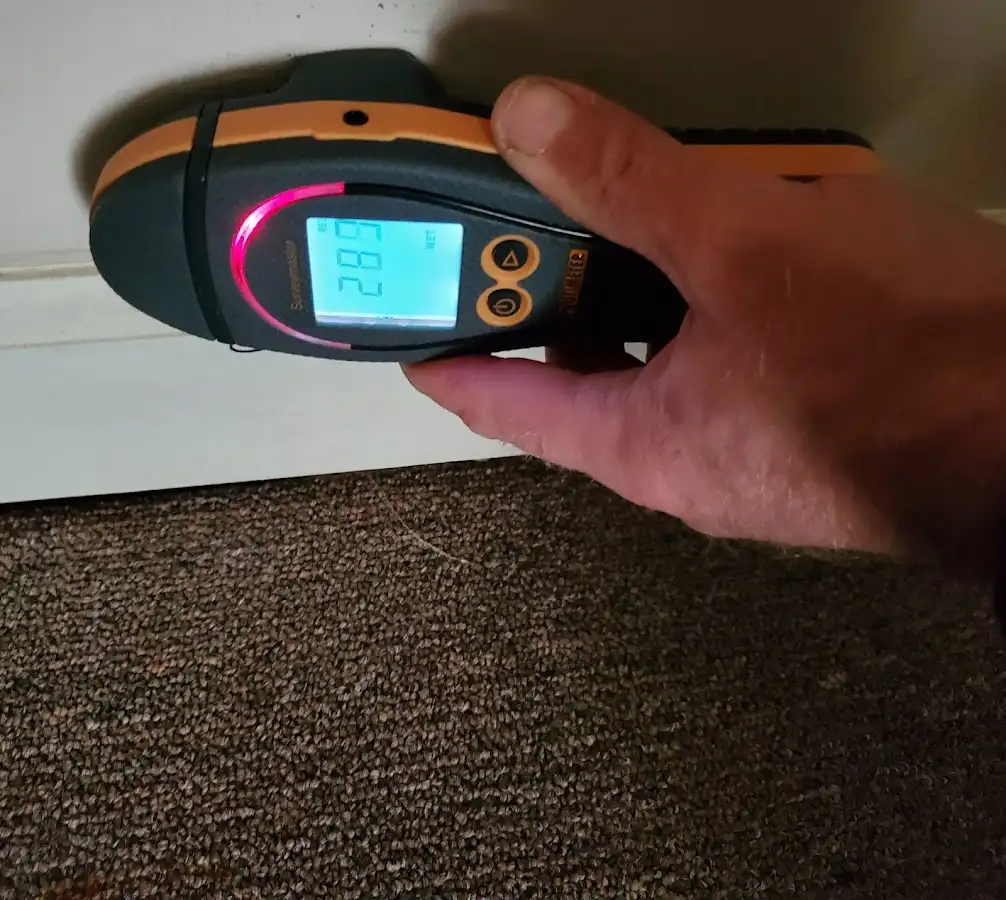 Moisture detection at baseboard during Sewage Cleanup & Sanitation in Grosse Pointe Woods